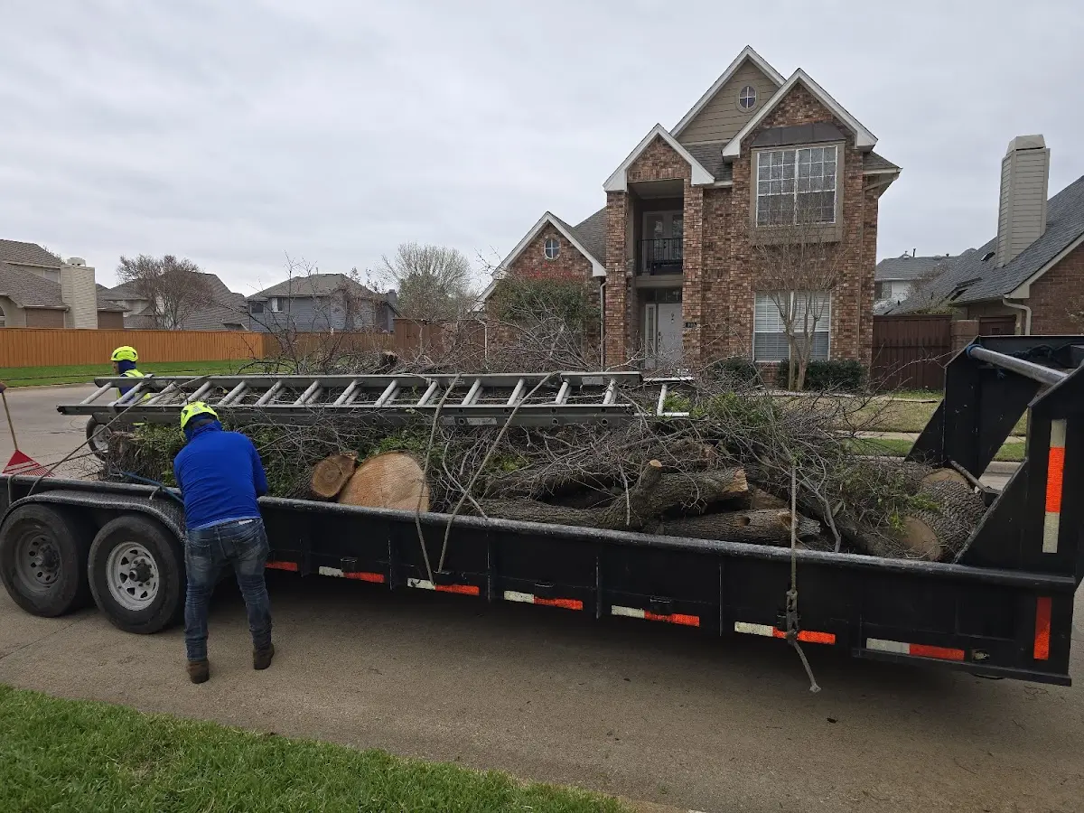 Expert Tree Fertilization with proper safety equipment in Tavernier